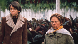 BROEI.LAB MOVIE NIGHT #2: Harold and Maude